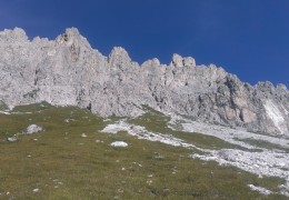 IMAG2259