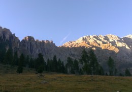 IMAG2381