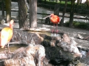 IMAG0905