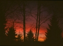 alba-croce-daune