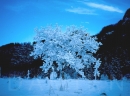 scansione0006_0