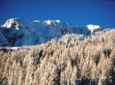 scansione0025